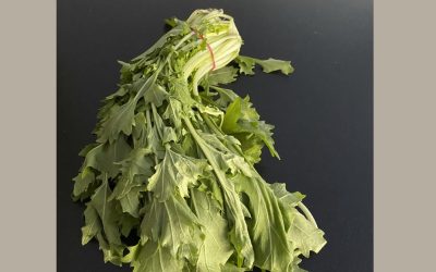 Ich bin jetzt Vegetarier!